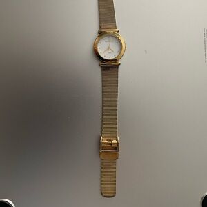 Woman’s Skagen watch